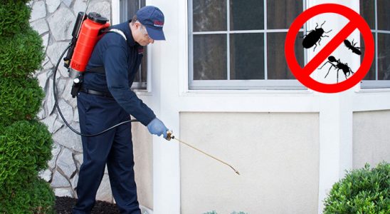 Çaycuma Tahtakurusu İlaçlama böcek ilaçlama ve haşere kontrolü — ilaclama-tr.com